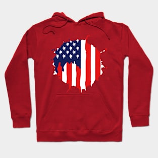 the united state America flag Hoodie